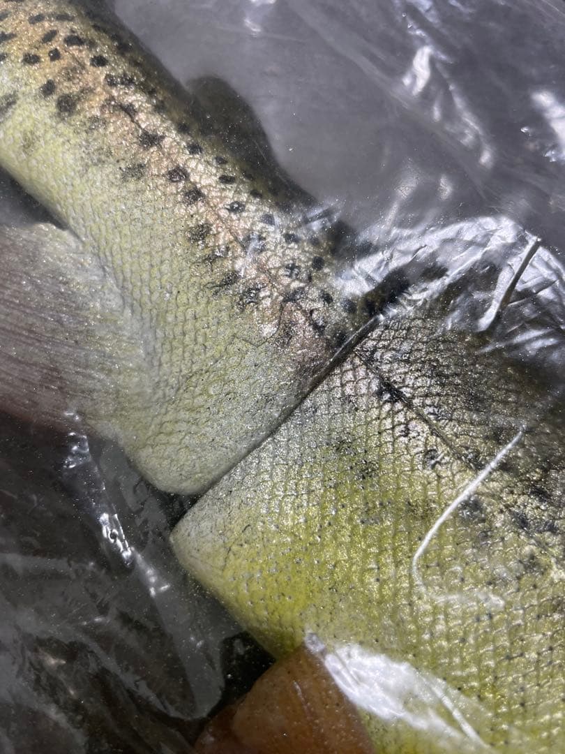 Mattlures Dead Twitch ビッグベイトルアー