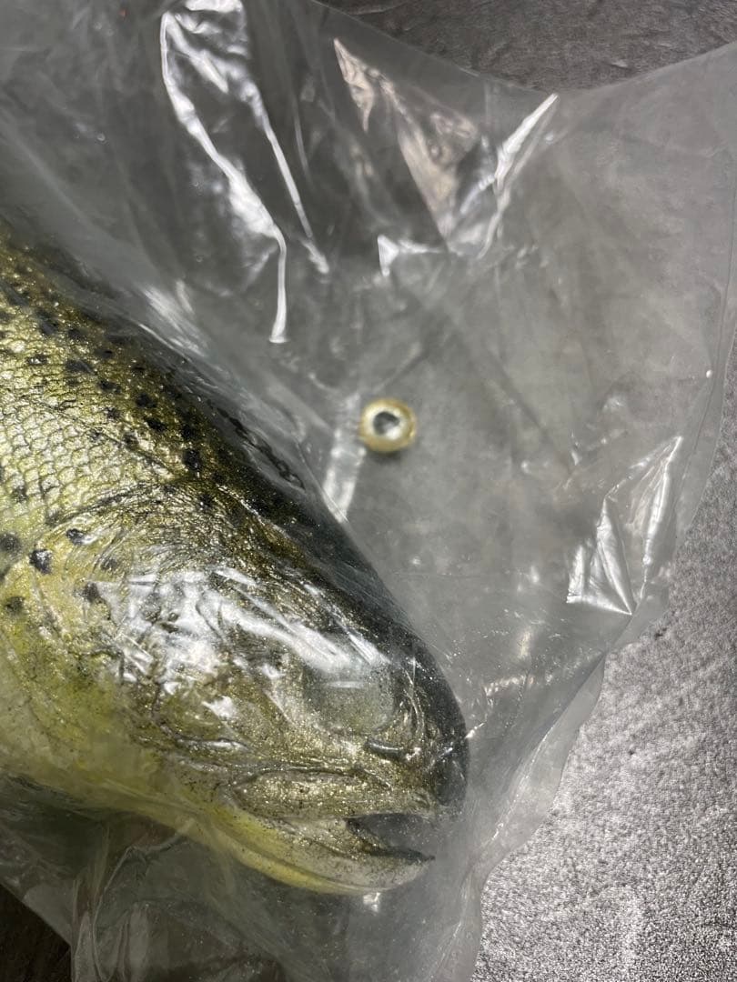 Mattlures Dead Twitch ビッグベイトルアー