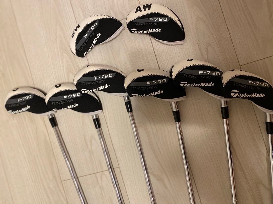 TaylorMade P790（2019）アイアン ダイナミックゴールド 120