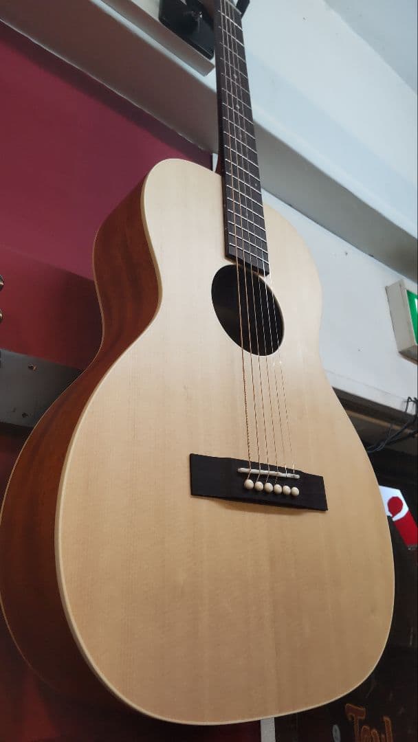 【Singer】Acoustic Imagine Series P01
