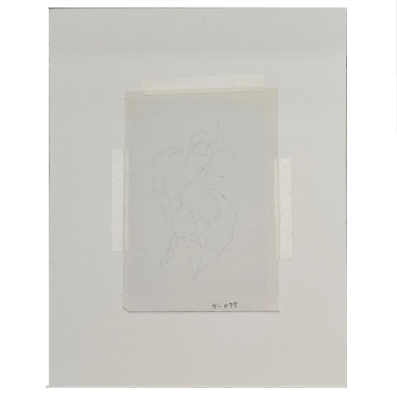 ☆坂本直行☆「 コクワ」筆書き　インチサイズ　未使用！