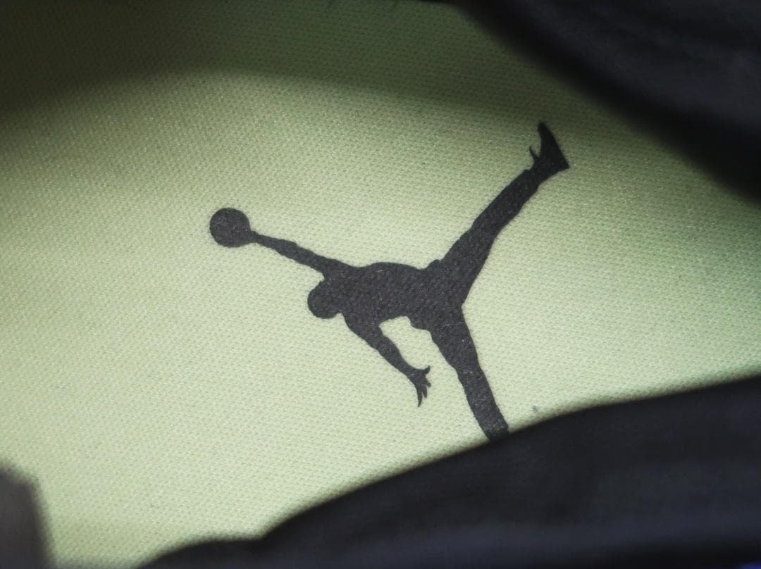 NIKE JORDAN WHY NOT.6 PF ジョーダンワイノット6【G】.