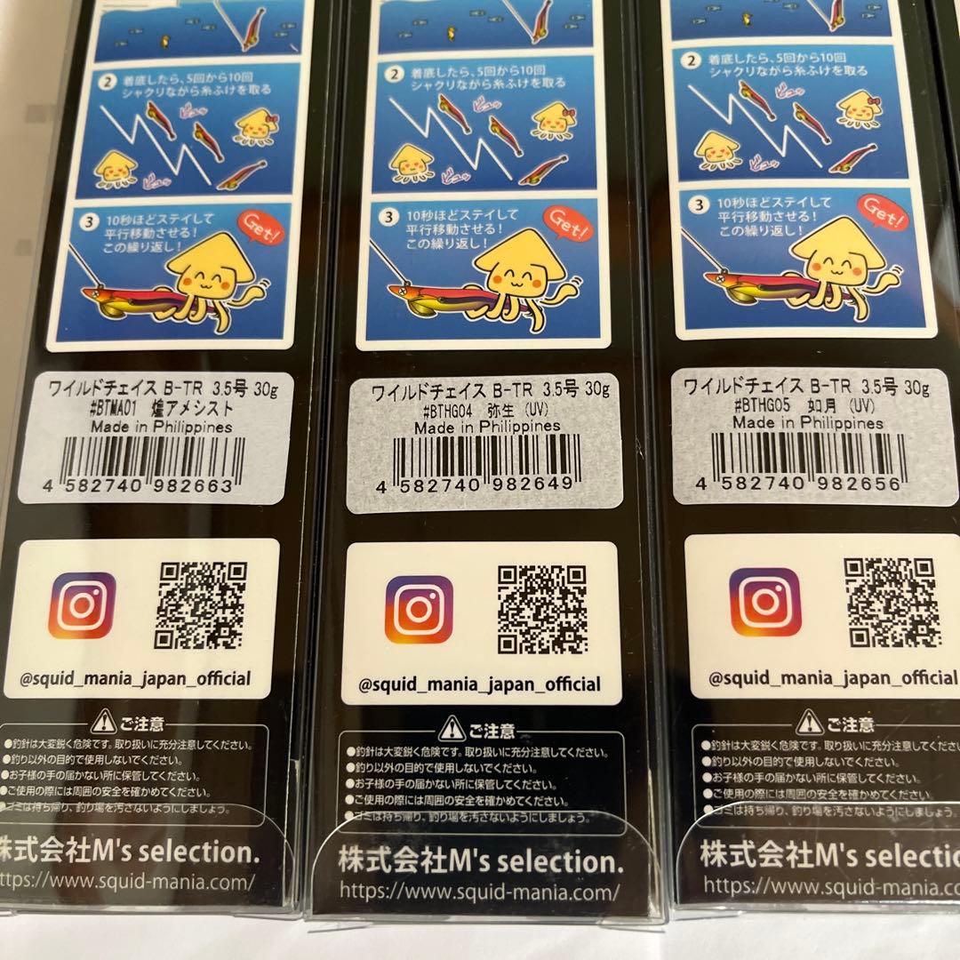 ワイルドチェイスB-TR 3.5号30g特注カラー5個➕シンカー1