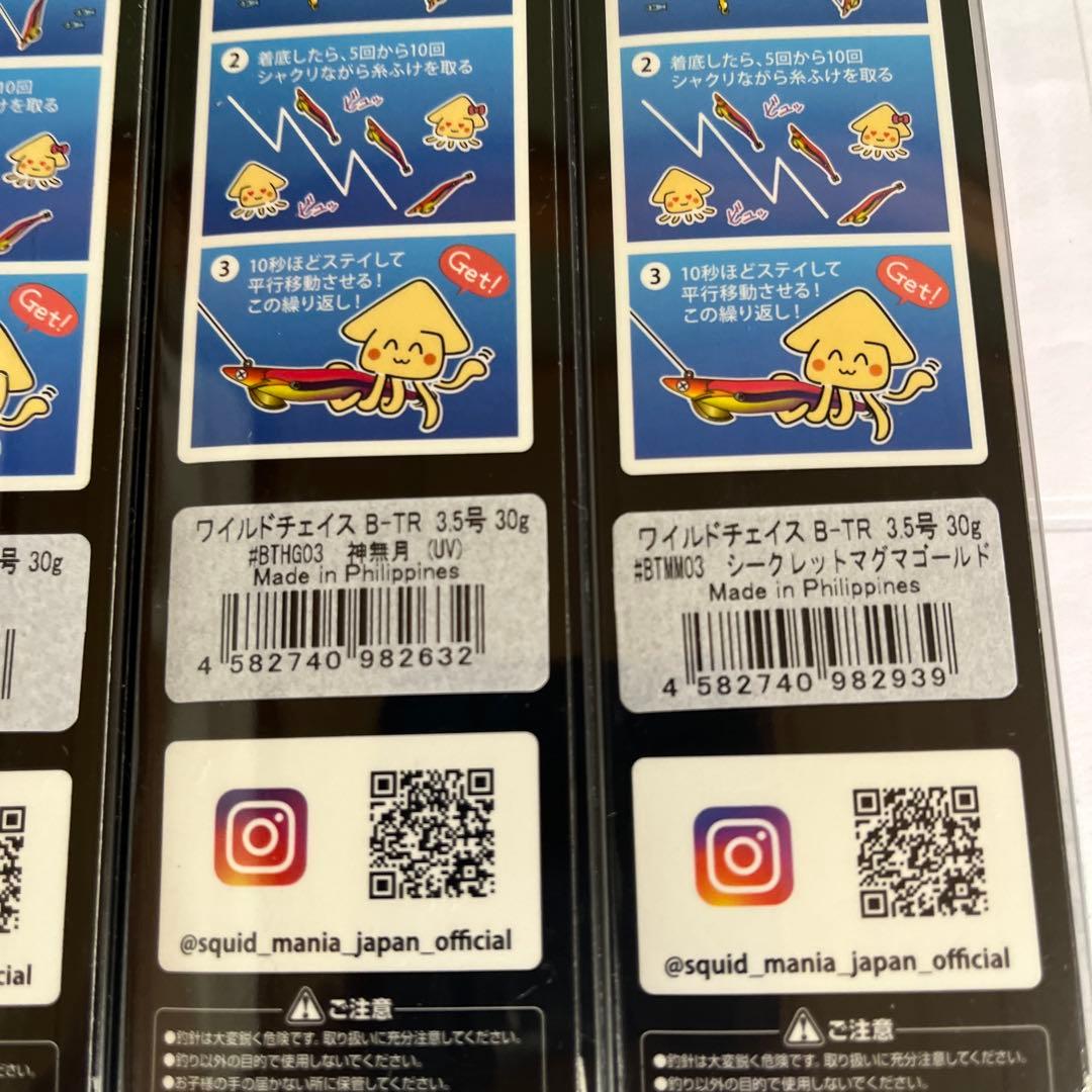 ワイルドチェイスB-TR 3.5号30g特注カラー5個➕シンカー1