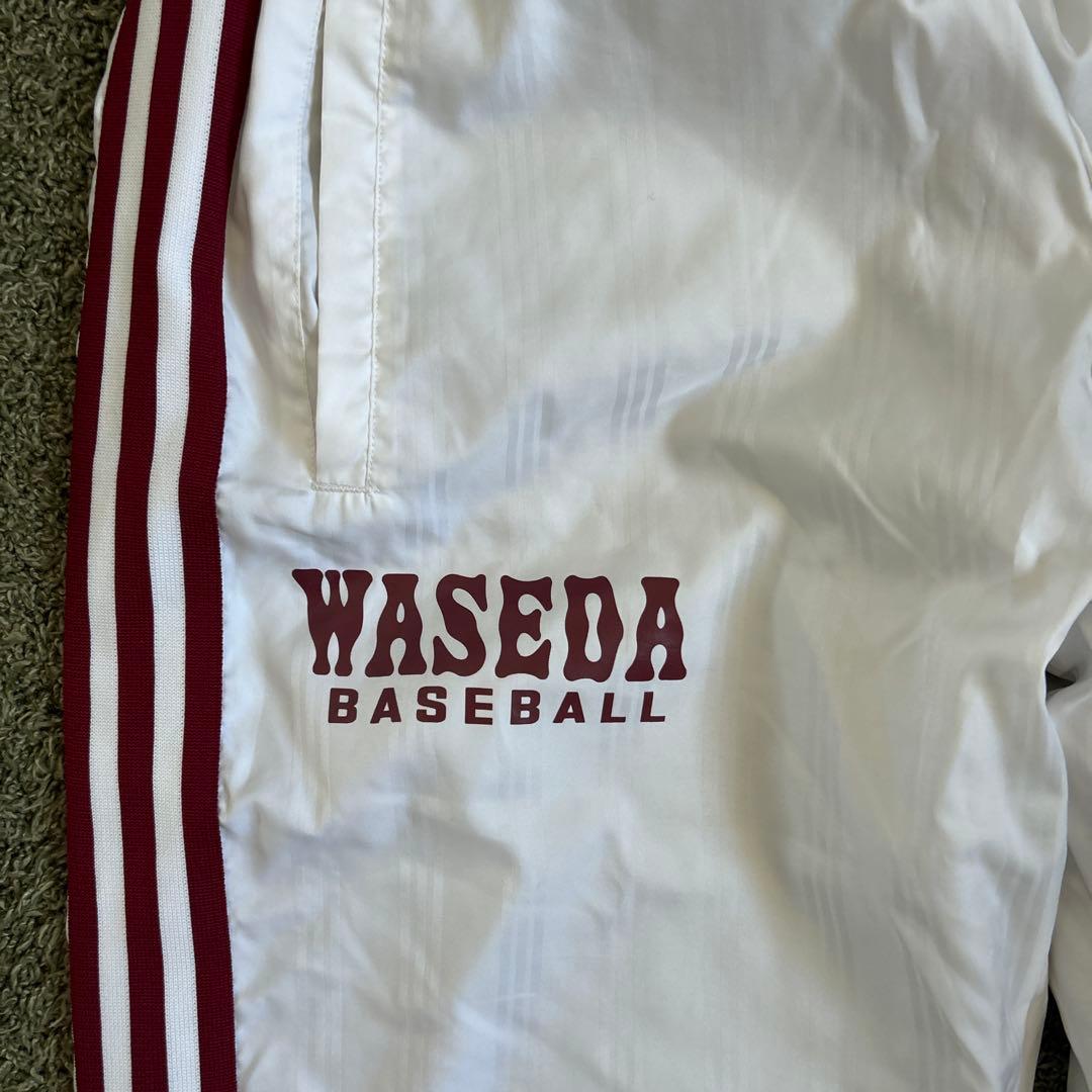 早稲田大学　ウィンドブレーカー上下