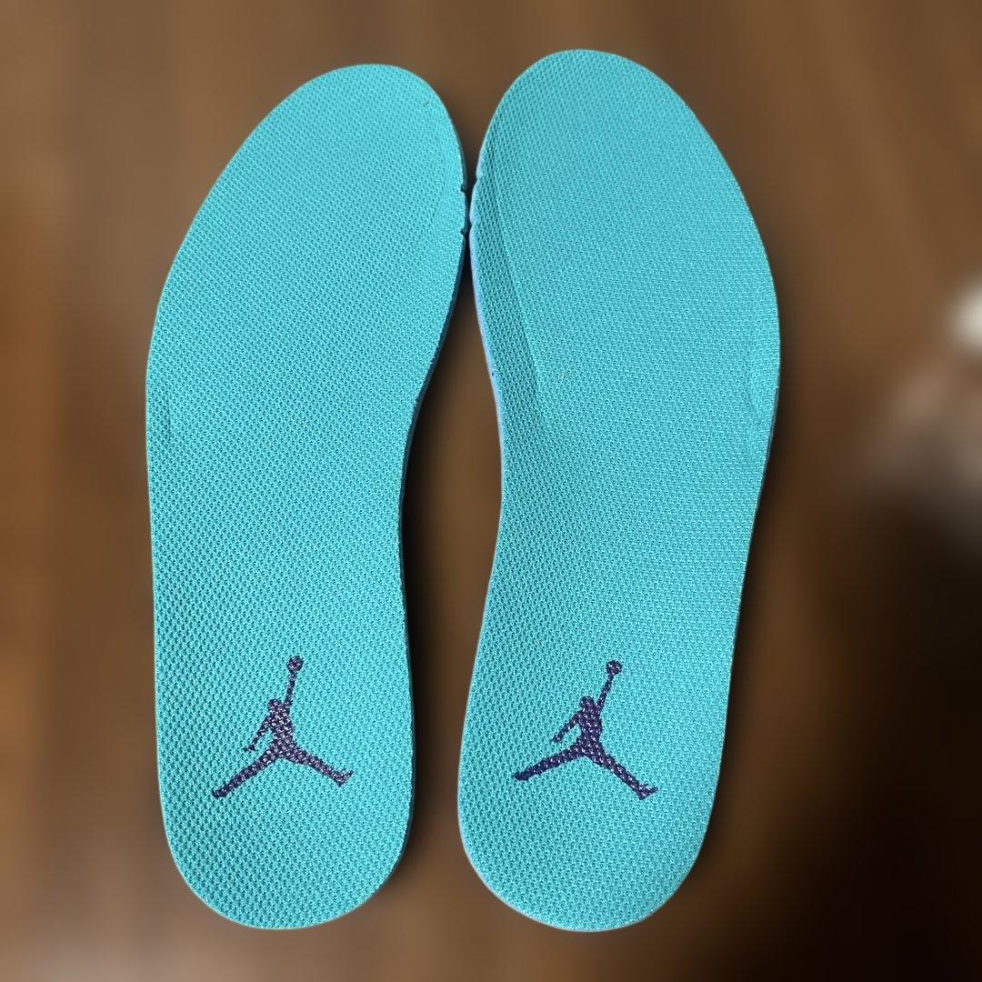 AIR JORDAN5 GOLF ブラックグレープ サイズ27cm