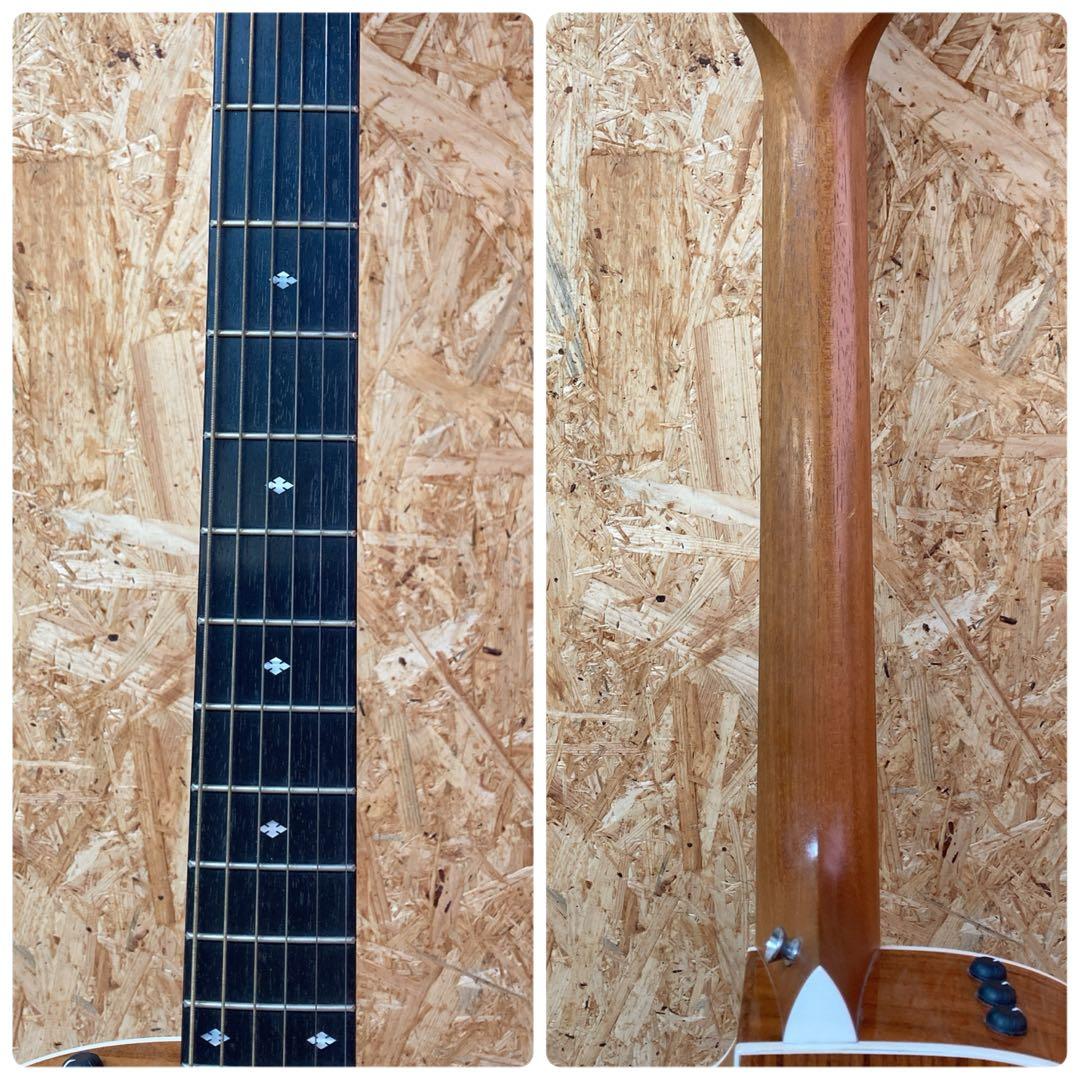 Taylor テイラー　214ce-SB DLX エレアコ　ハードケース付き