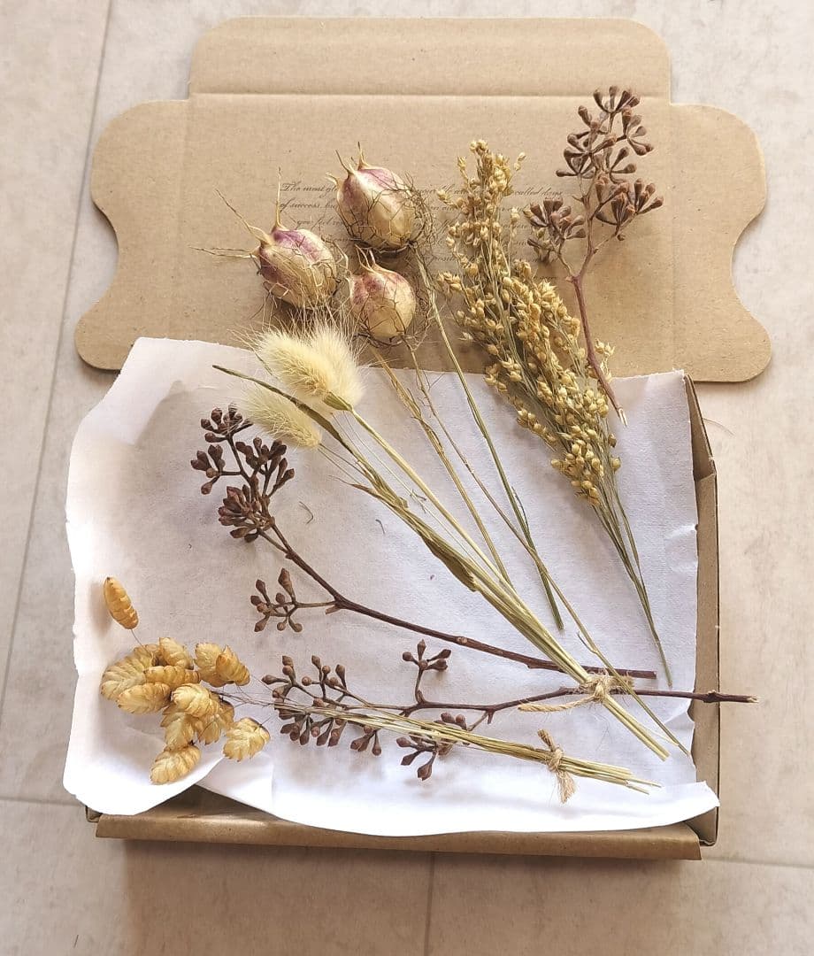 ミニサイズのドライフラワー　小箱No.１８６　セピア　茎つき