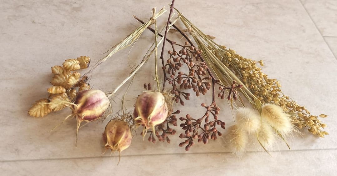 ミニサイズのドライフラワー　小箱No.１８６　セピア　茎つき