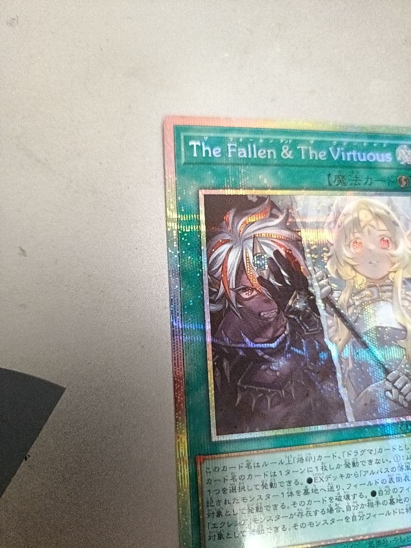 the fallen and the virtuous　プリシク