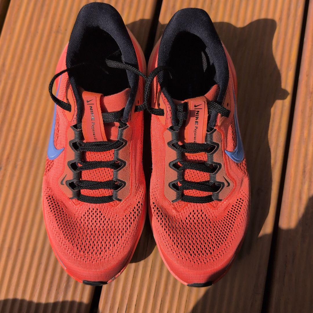 Nike エアーズーム ペガサス41★22.5cm