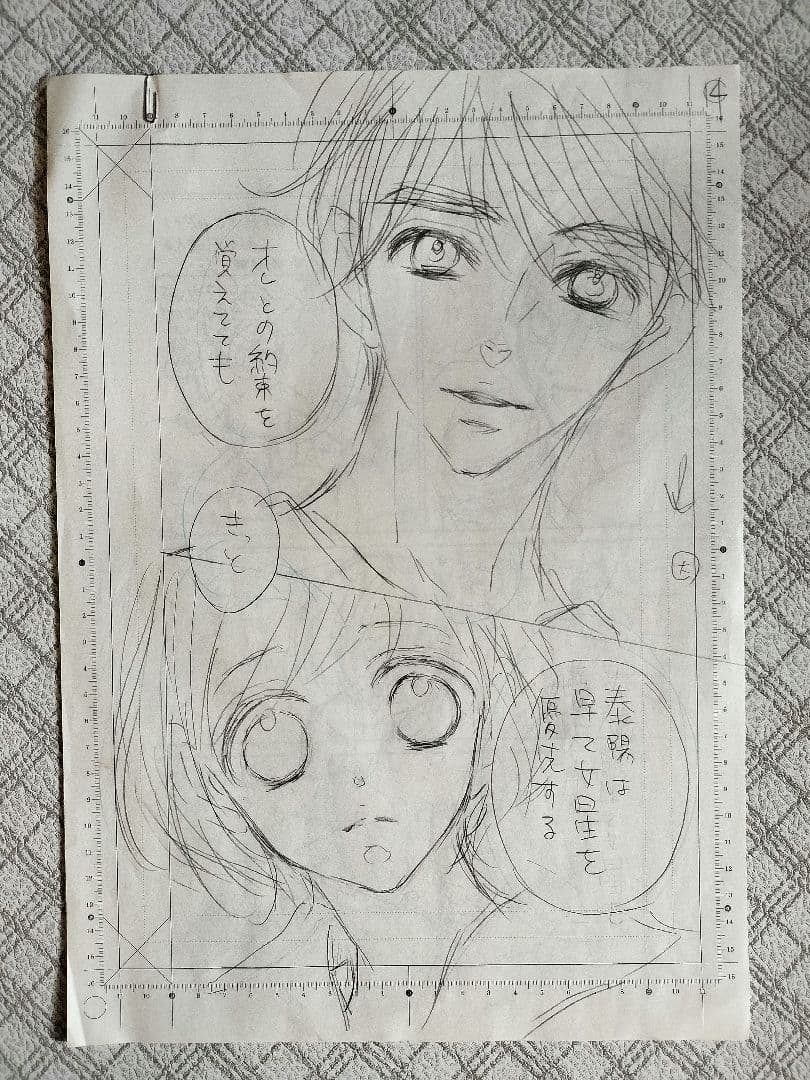 杉山美和子先生 複製原画