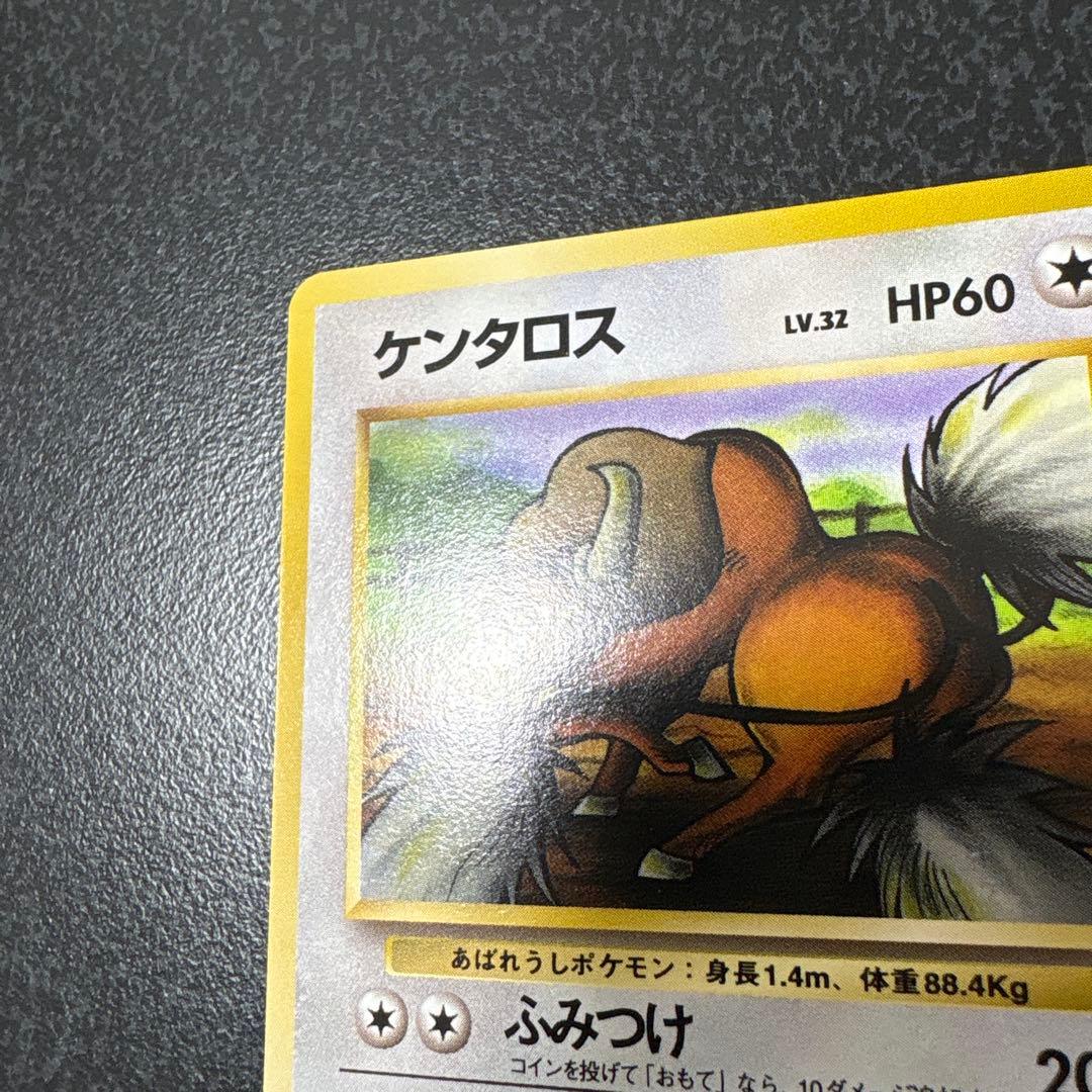 【開封直後美品】ケンタロス ポケモンカード ポケモンジャングル 旧裏面