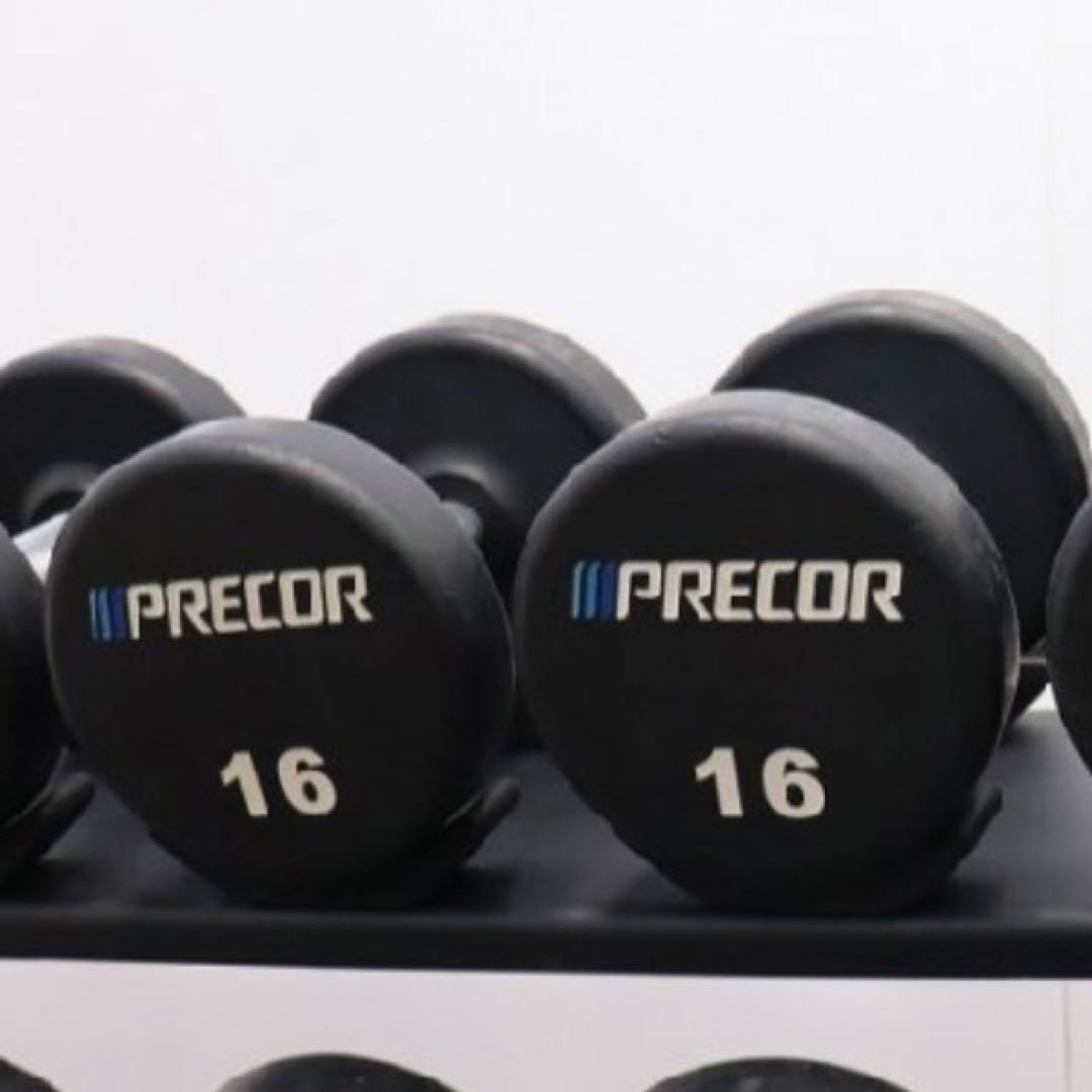 PRECOR プリコー ウレタンラバーダンベル 12〜30kgセット ラック付き