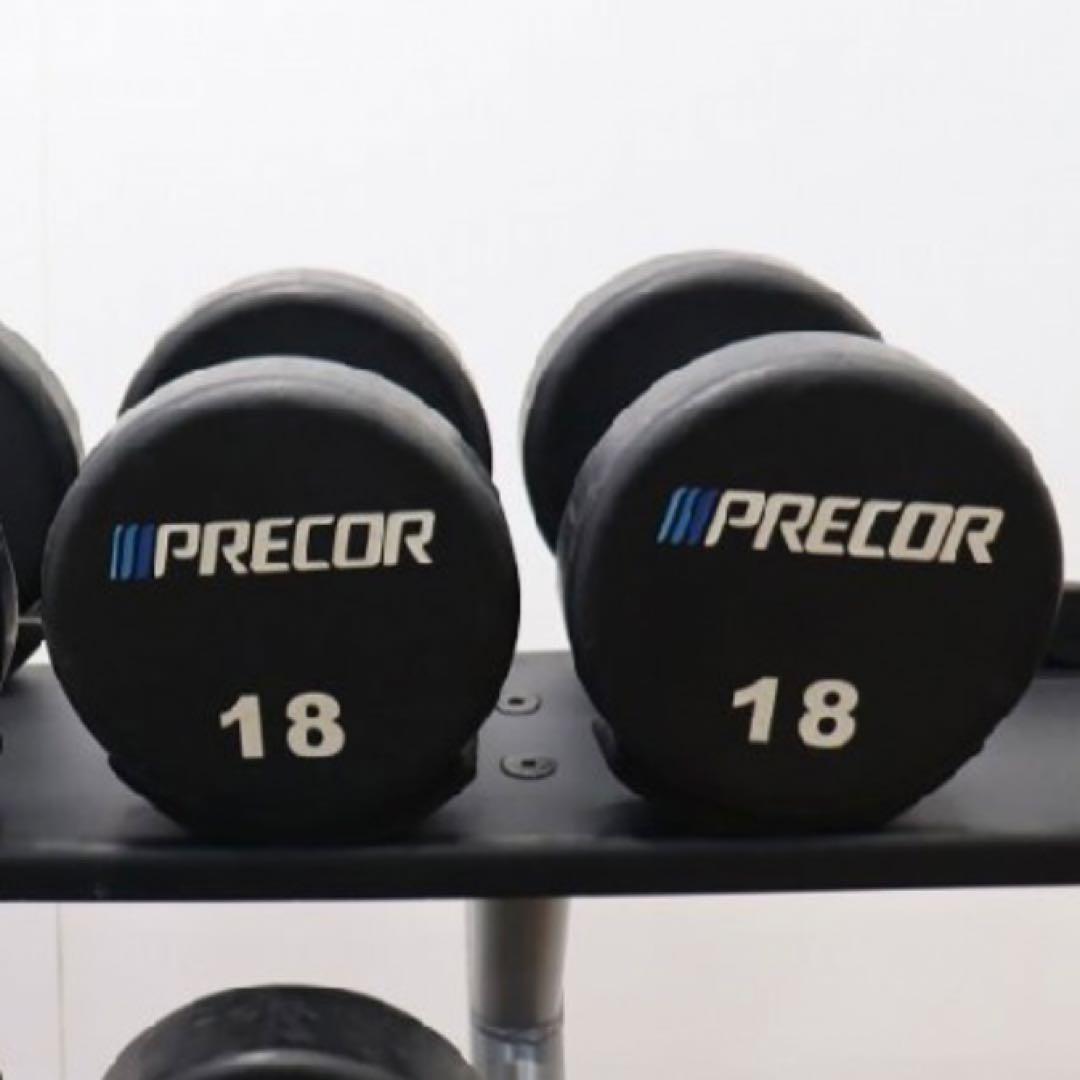 PRECOR プリコー ウレタンラバーダンベル 12〜30kgセット ラック付き