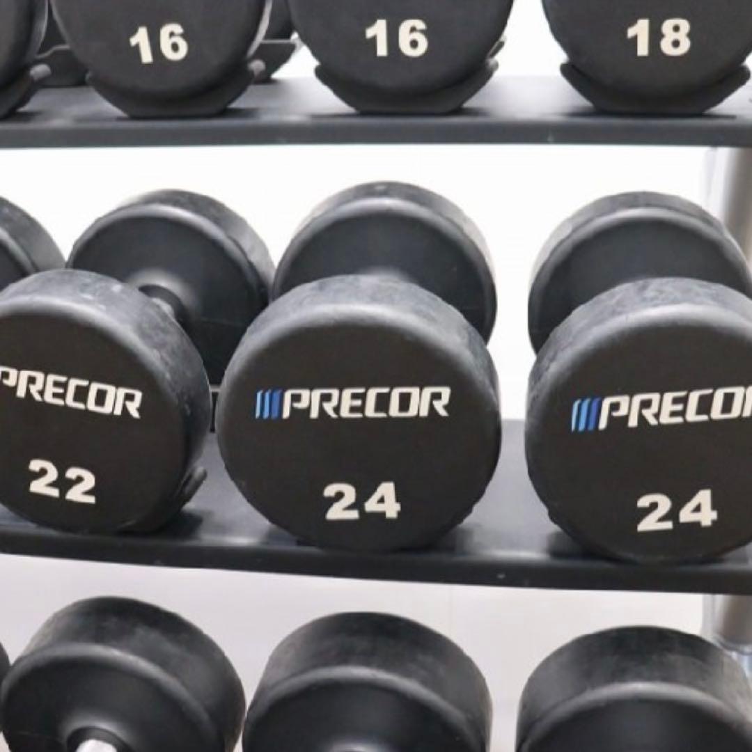 PRECOR プリコー ウレタンラバーダンベル 12〜30kgセット ラック付き