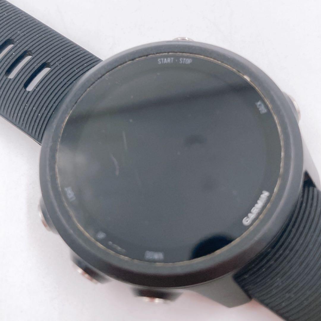 Garmin ガーミン245 海外版