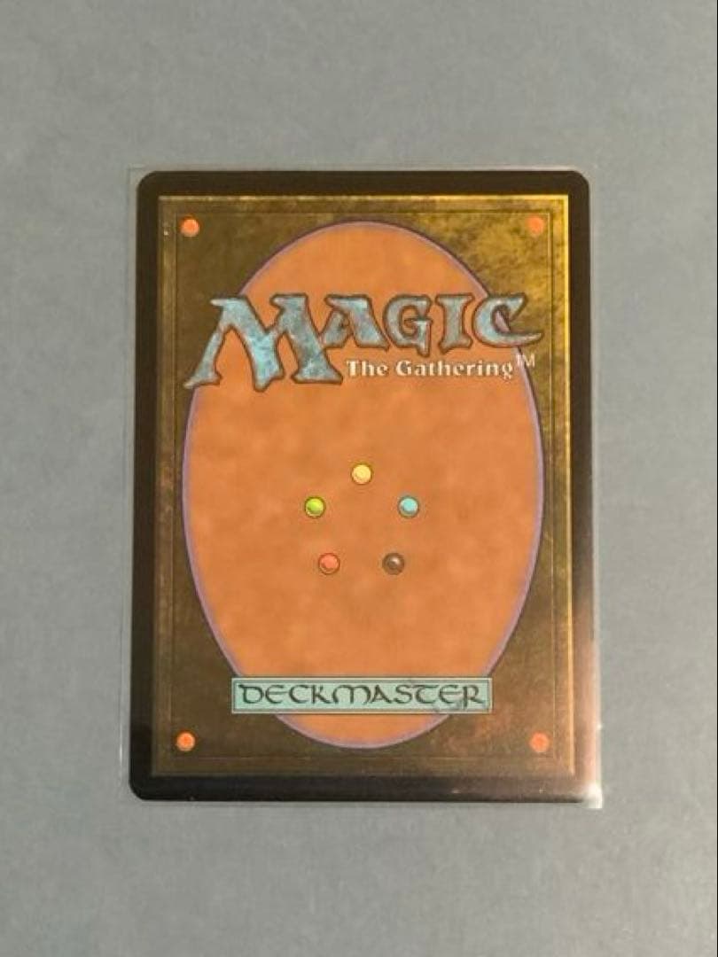 MTG SLC 《Wasteland 》ハローfoil