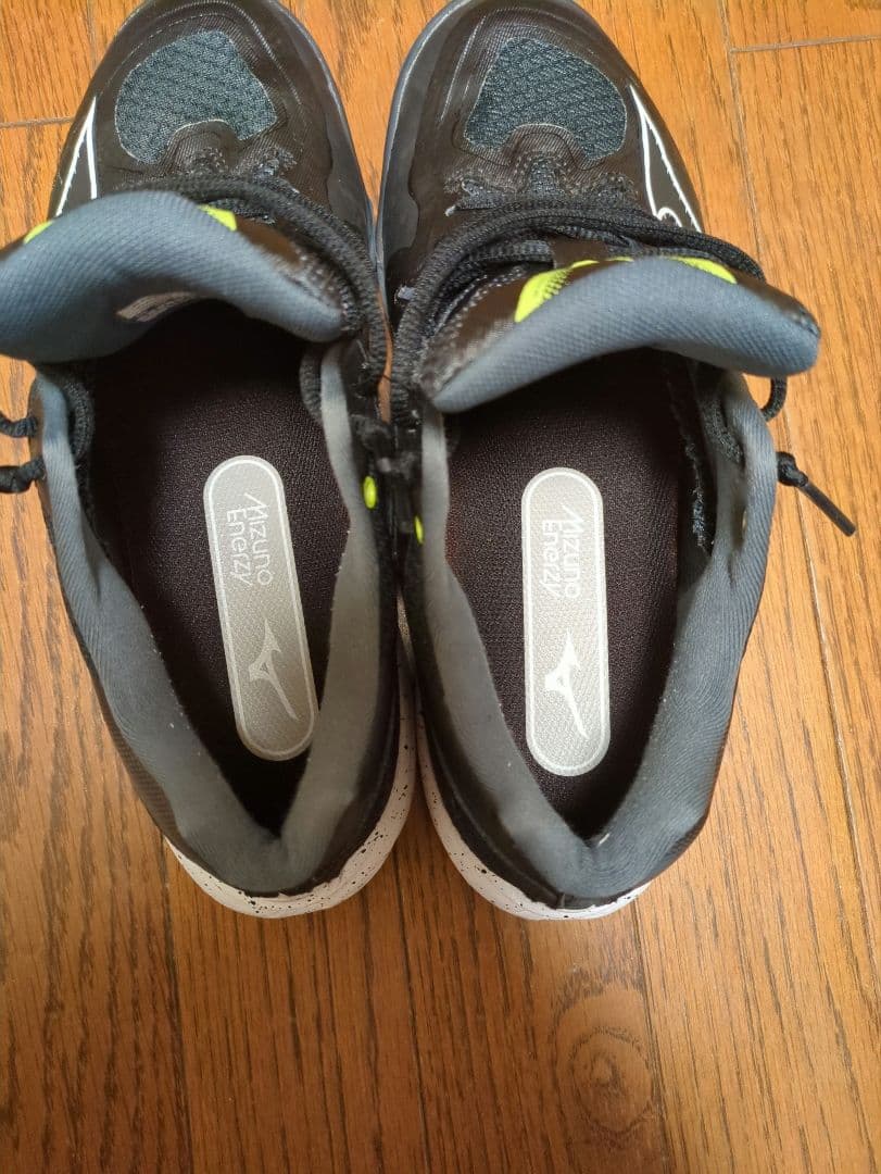 MIZUNO　バドミントンシューズ 25センチ