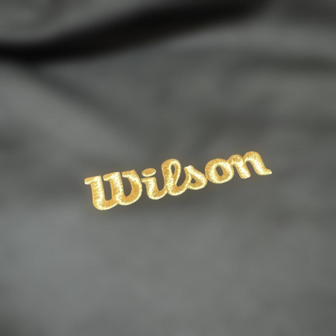 Wilson staff硬式グローブ 赤 [日本製][グローブ袋付き]