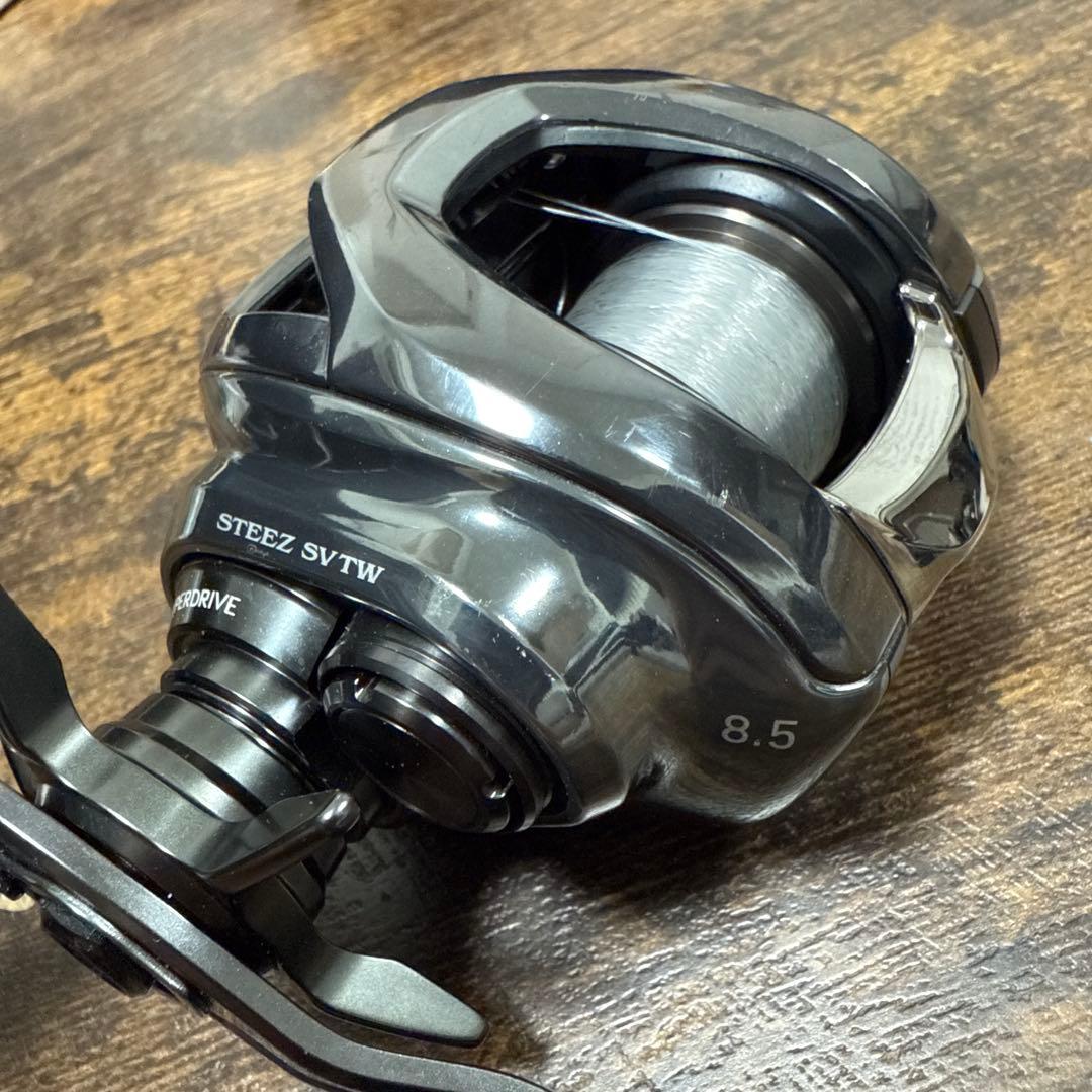 スティーズSV TW 100XHL