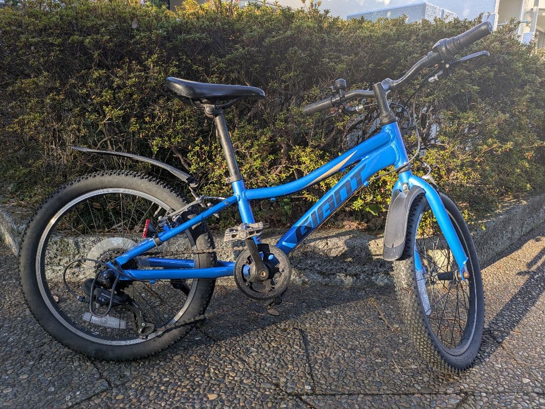 自転車 20インチ キッズバイク ジャイアント
