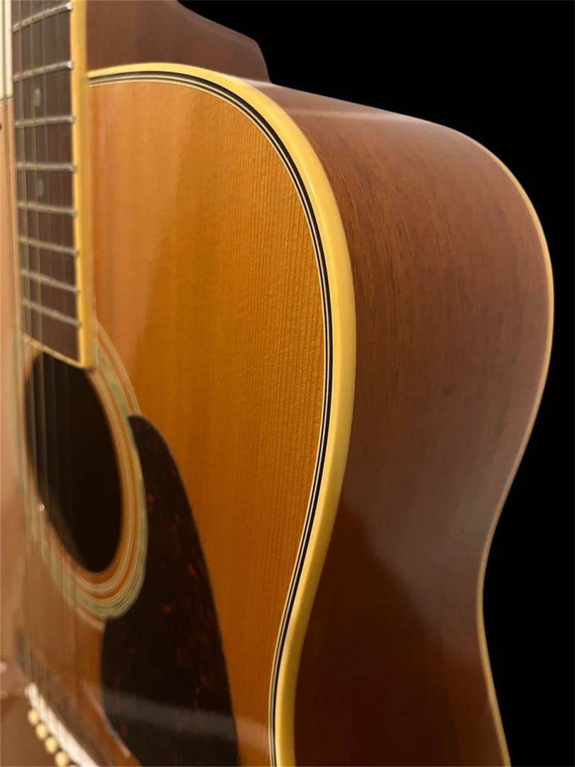 Fina アコースティックギターGuitar FAW-700/NT