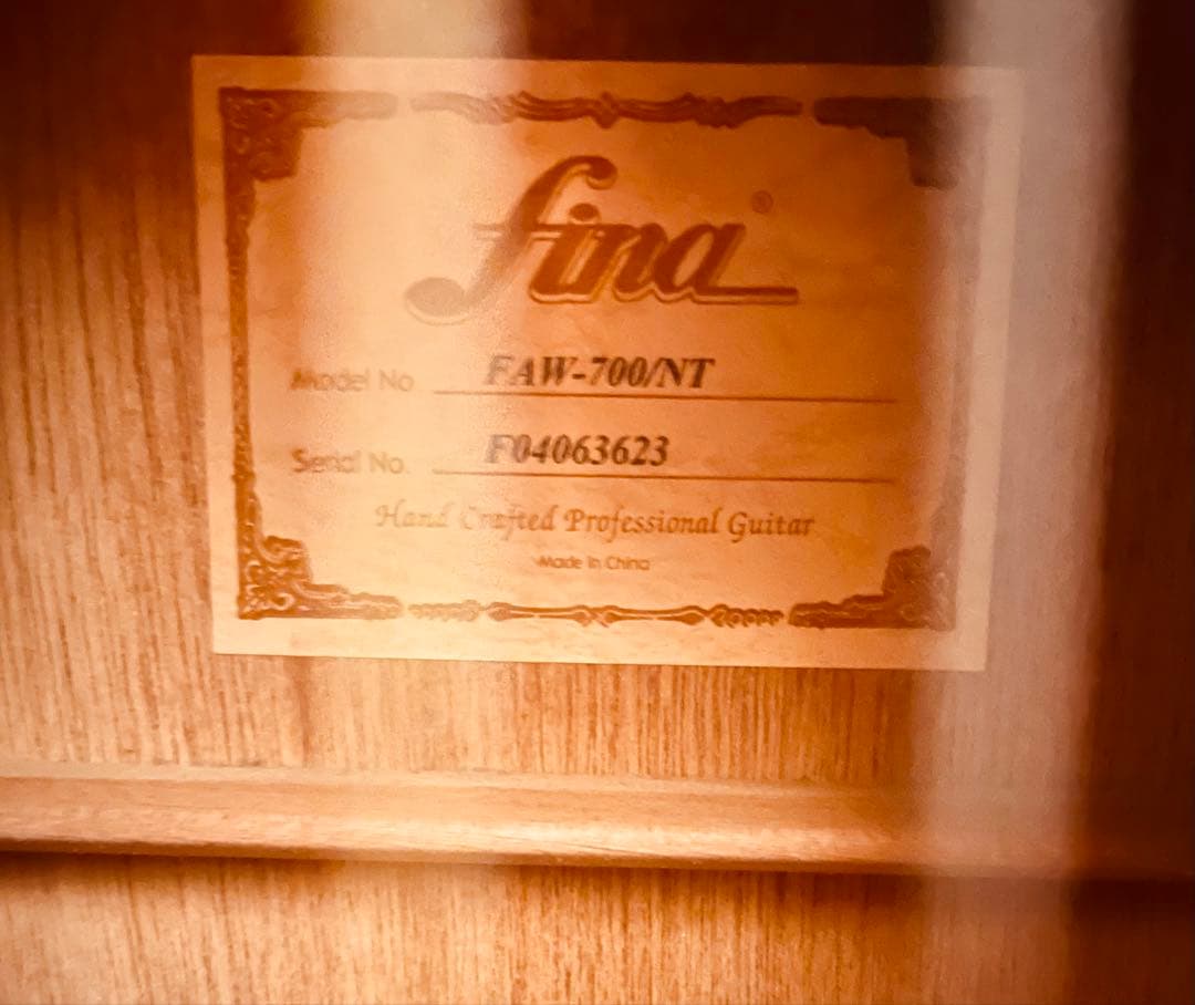 Fina アコースティックギターGuitar FAW-700/NT