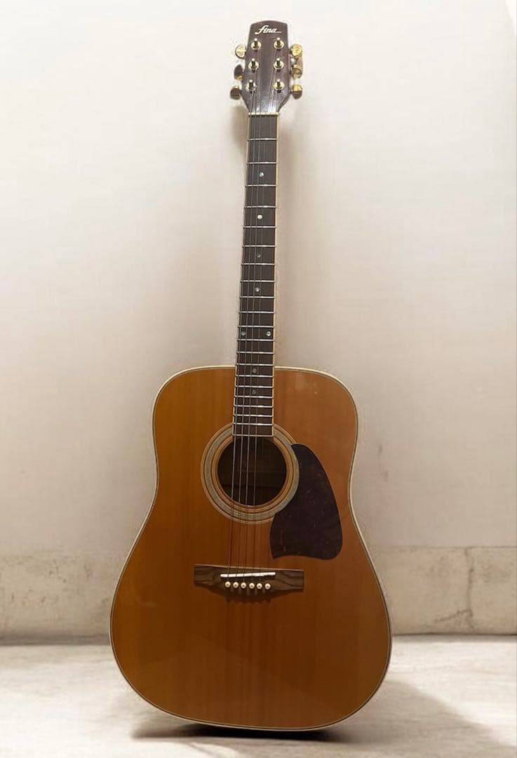 Fina アコースティックギターGuitar FAW-700/NT