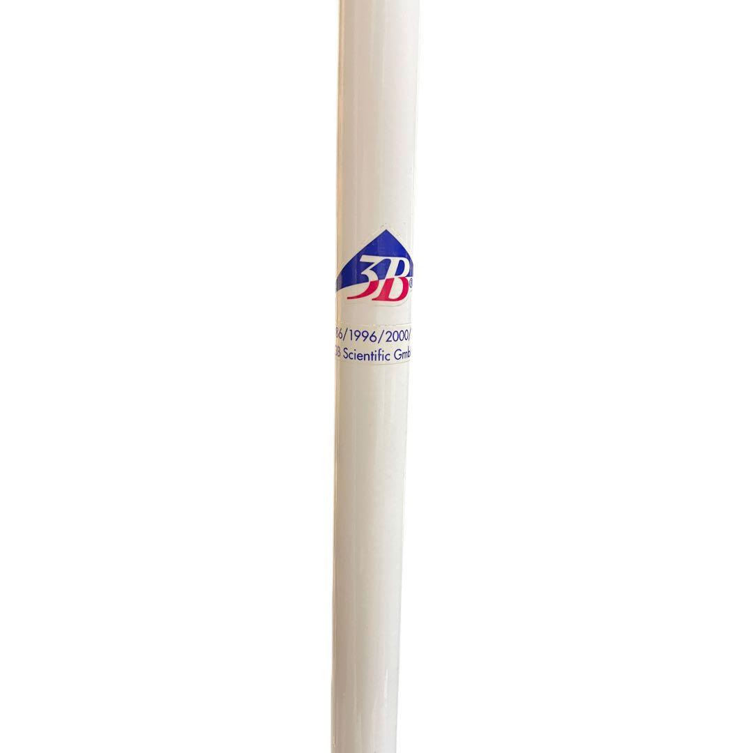 【美品】3B “スタン” 標準型骨格モデル A10