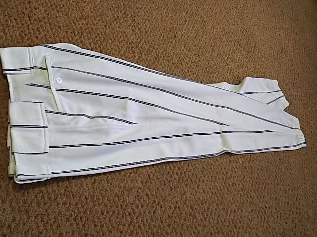 Lサイズ ミズノプロ JAPAN 日本代表 ジャパン ロングパンツ Ｌ寸