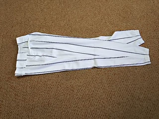 Lサイズ ミズノプロ JAPAN 日本代表 ジャパン ロングパンツ Ｌ寸