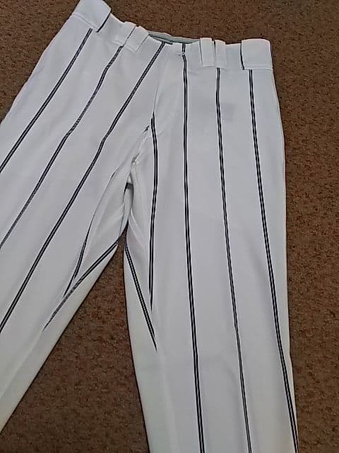 Lサイズ ミズノプロ JAPAN 日本代表 ジャパン ロングパンツ Ｌ寸