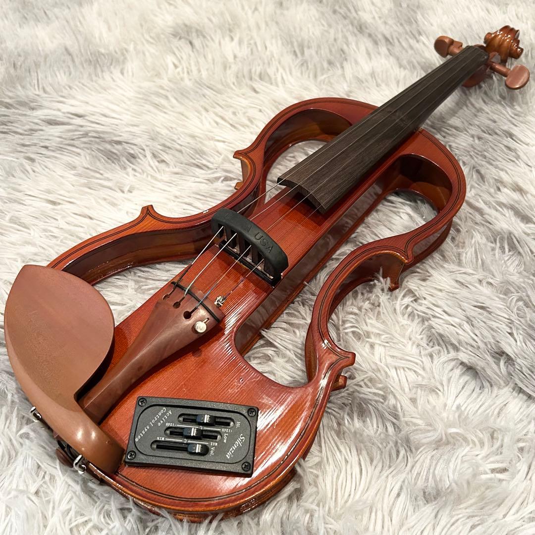 極美品 Carlo giordano Silenzia EV202 バイオリン