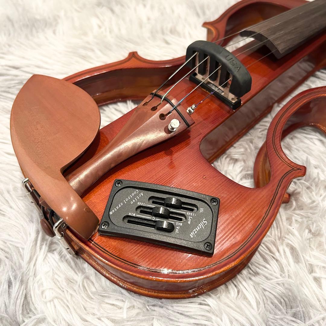 極美品 Carlo giordano Silenzia EV202 バイオリン