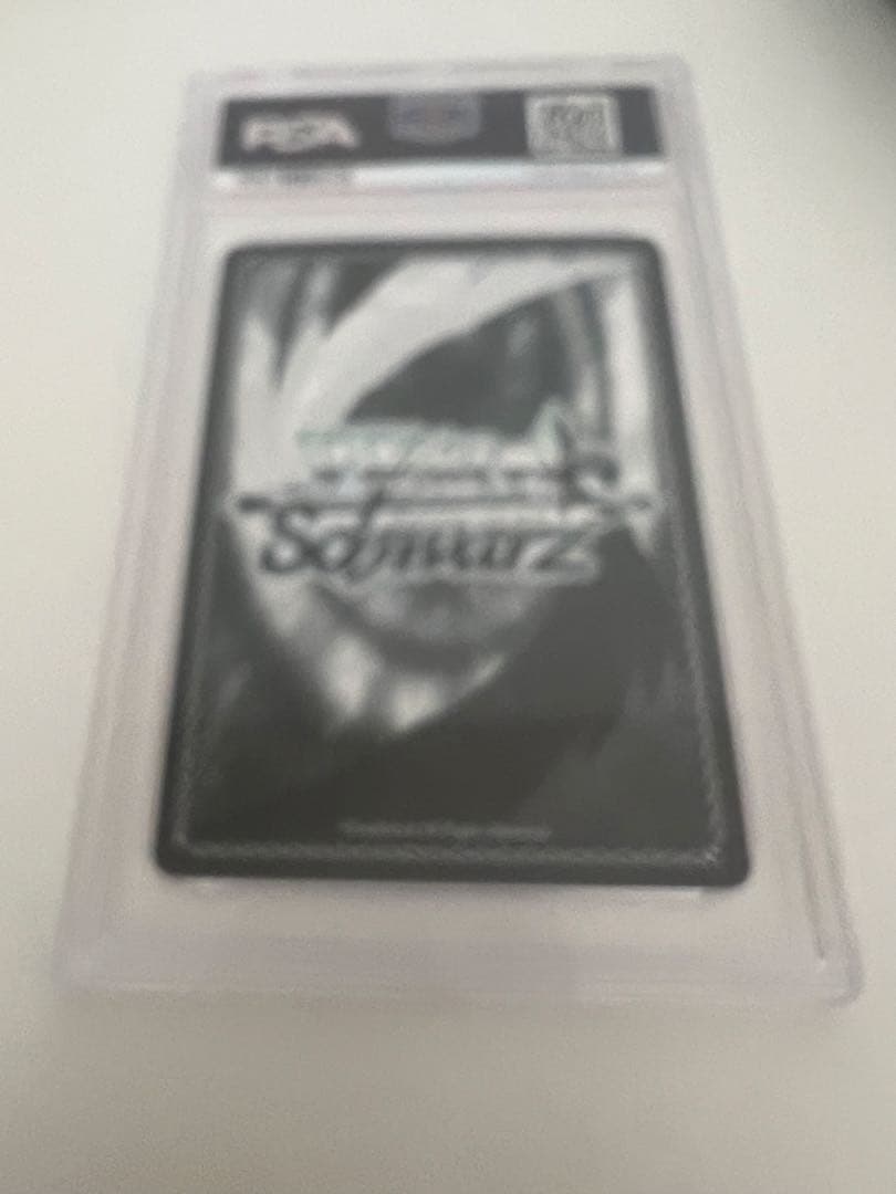 spring song 桜　sp psa9