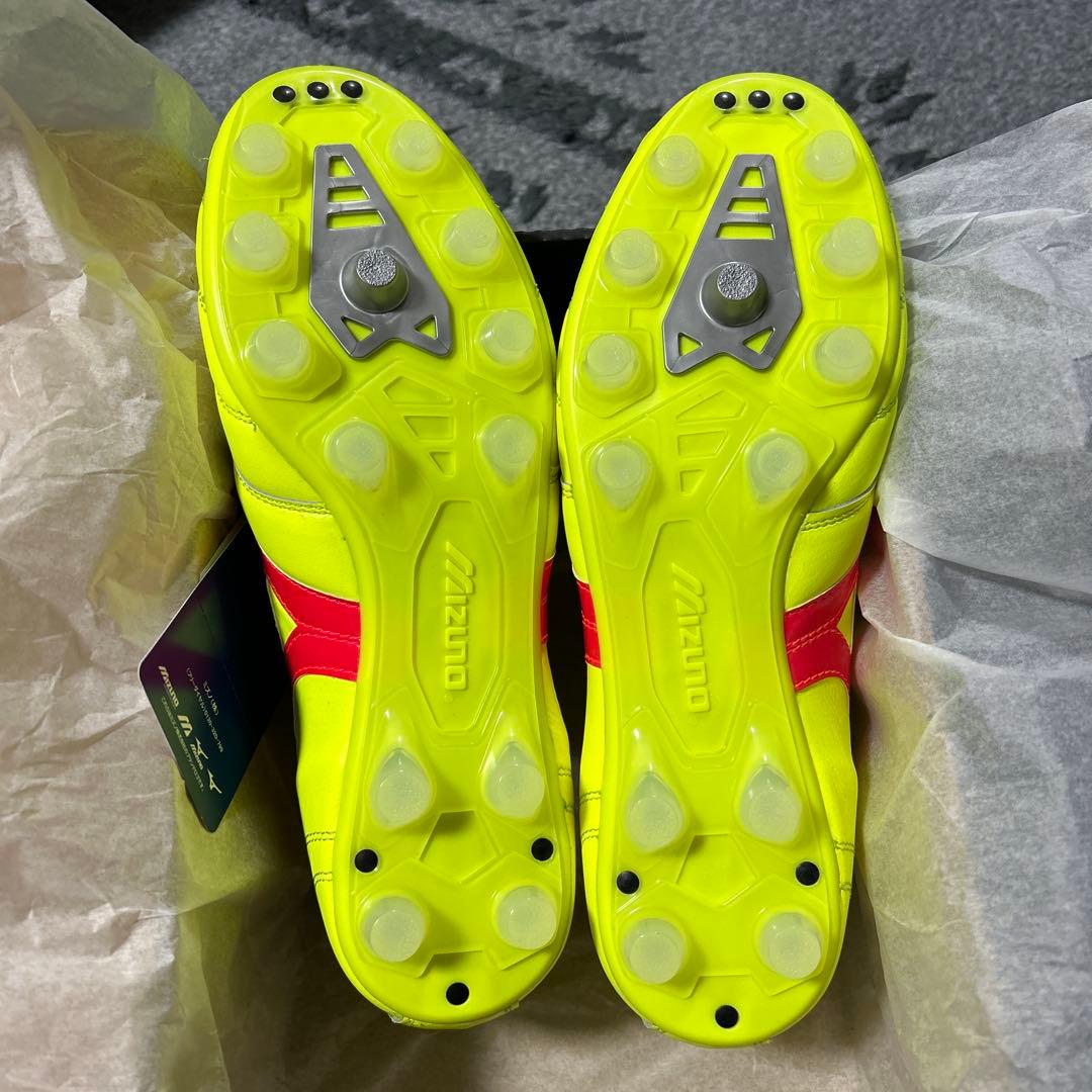Morelia モレリア限定色25cm ダイナパック