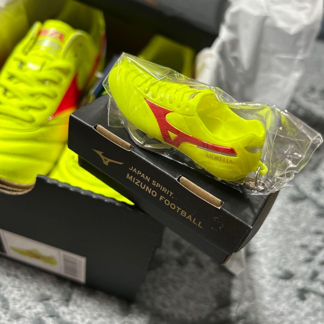 Morelia モレリア限定色25cm ダイナパック
