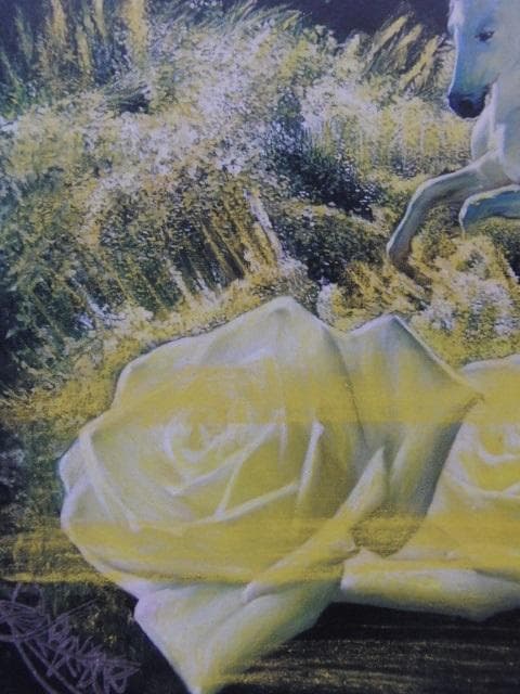 池依依依、【躍動の神秘】、希少な大判額装用画集より、美品、日本人画家