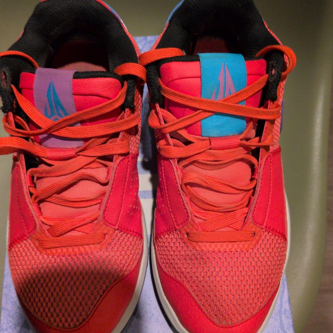 Nike JＡ 1 EP25.5