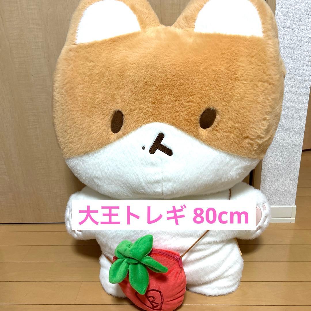 【期間限定値下げ】ベッキョン トレギ TEOLAEGI 80cm 大王トレギ