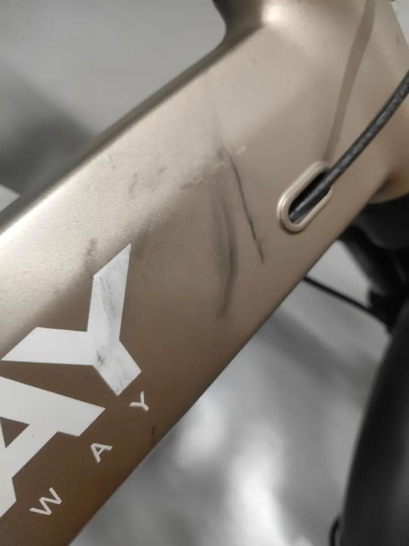 【在庫残りわずか！】折りたたみ電動アシスト自転車ERWAYA02ゴールド