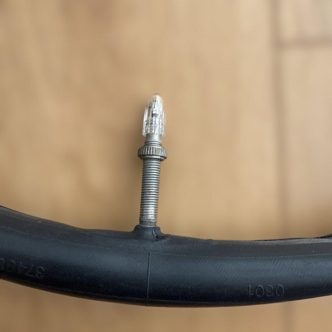 シュワルベ　ステルビオ&チューブ前後セット　アレックスモールトン