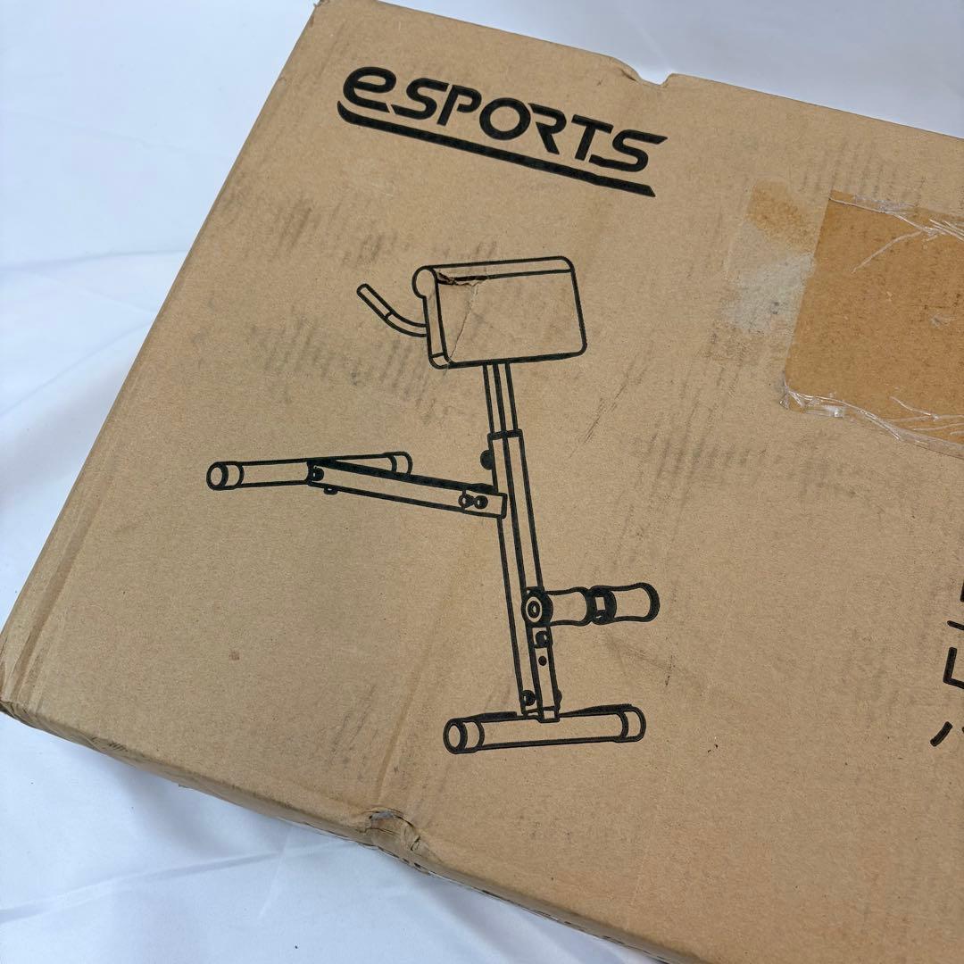 リーディングエッジ　バックエクステンションベンチ　耐荷重110kg