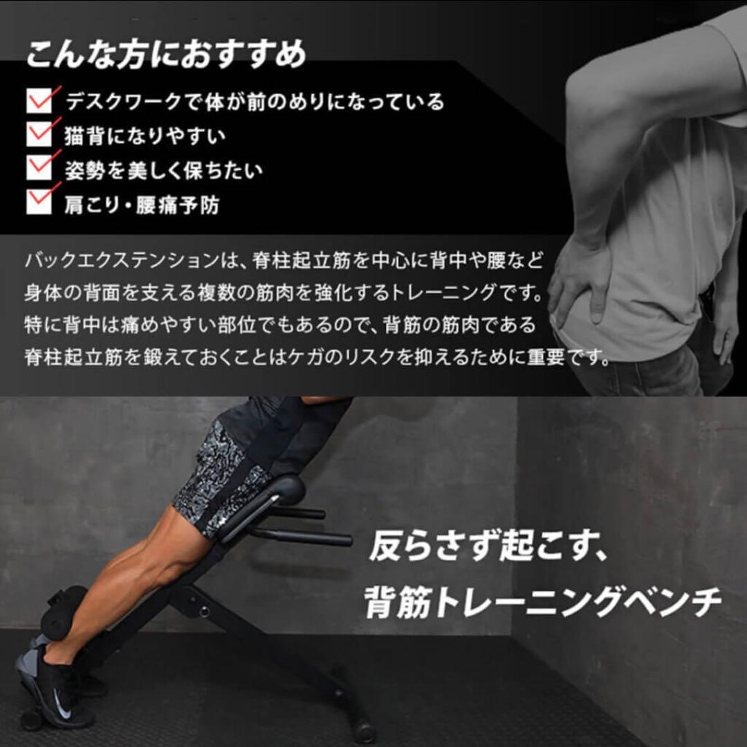 リーディングエッジ　バックエクステンションベンチ　耐荷重110kg
