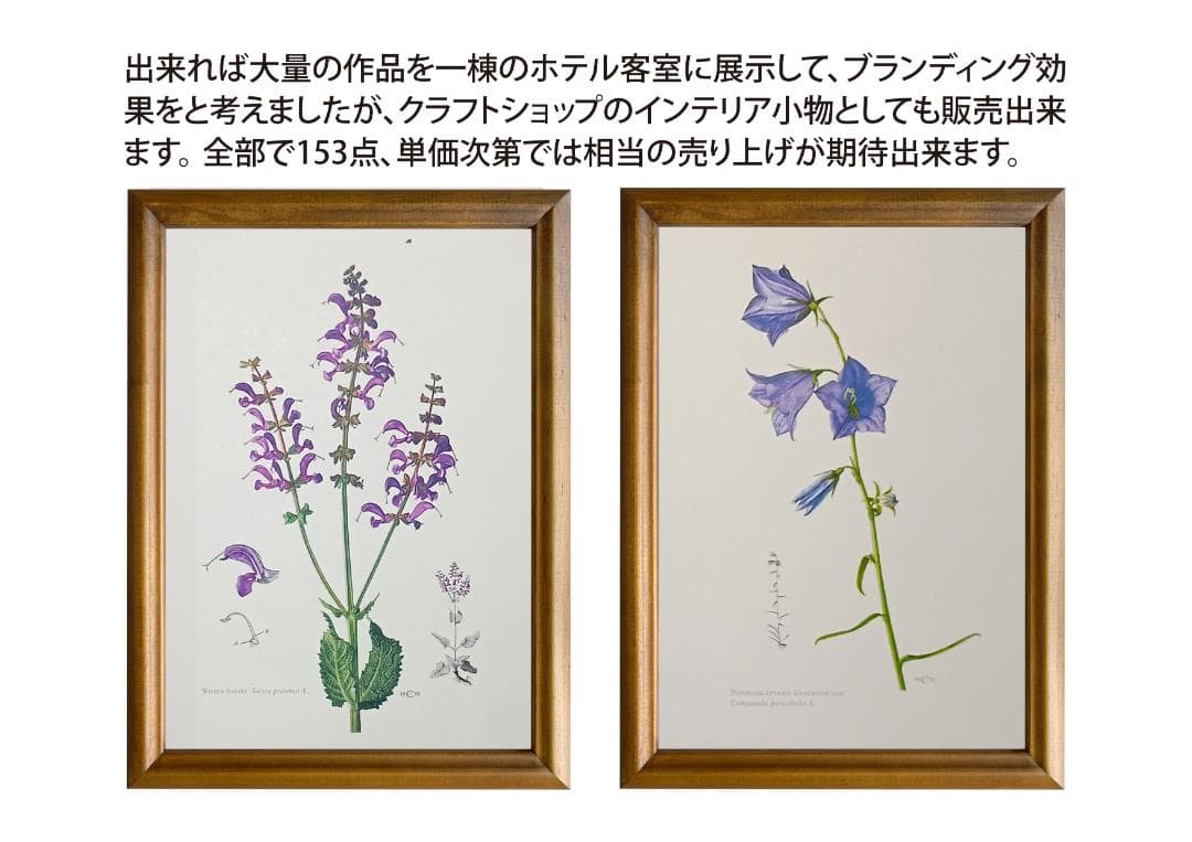 ドイツ有名出版社ボタニカルアートコレクション
