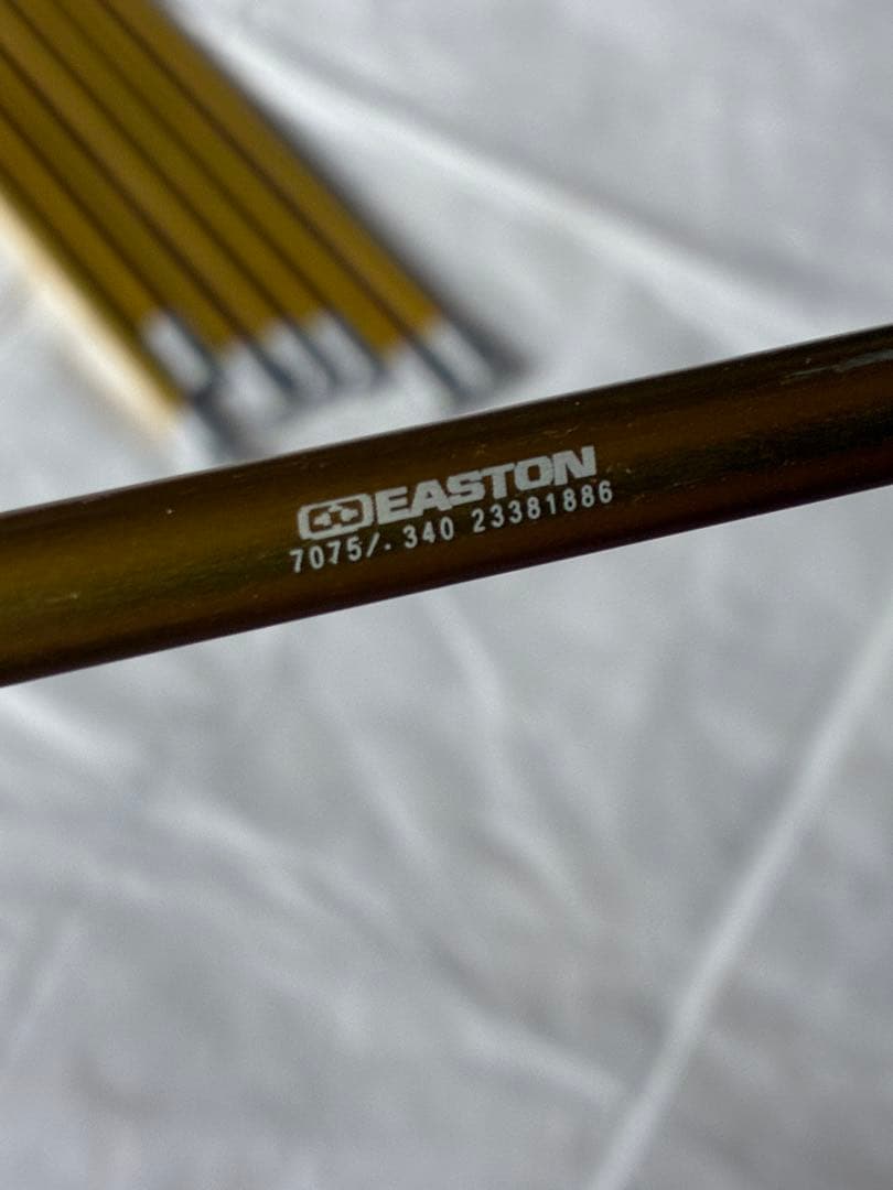 専用‼️ Easton Gold 24 62㎝×8本