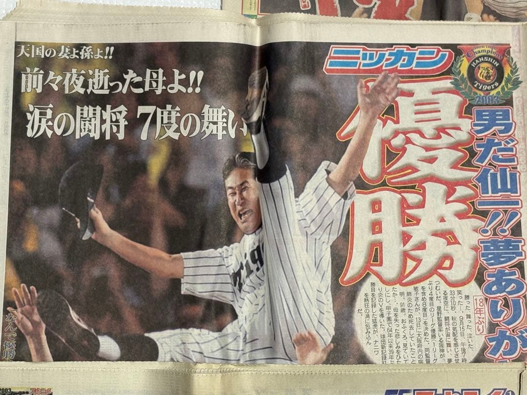 阪神タイガース 2003年 優勝記念新聞　スポーツ5紙2セット　一般紙6紙