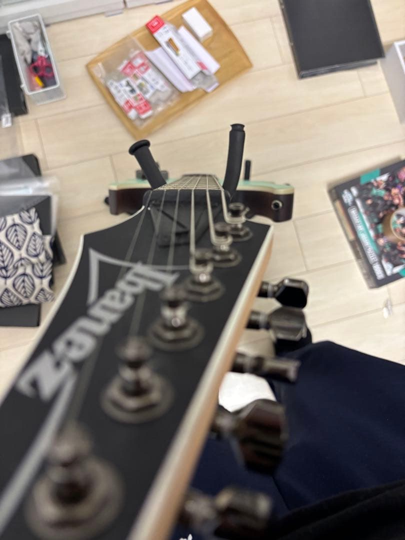 ギター Ibanez rg421s