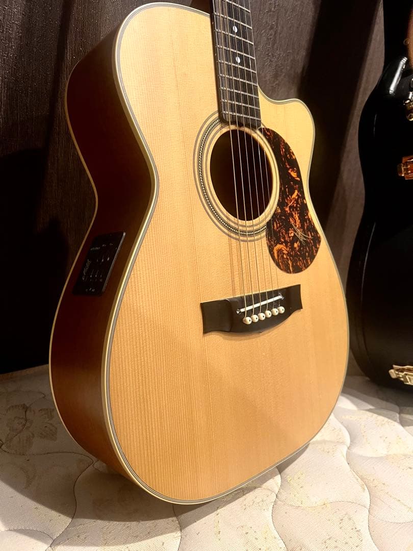 【超美品】Maton メイトン　EBG808c TE トミエマモデル！